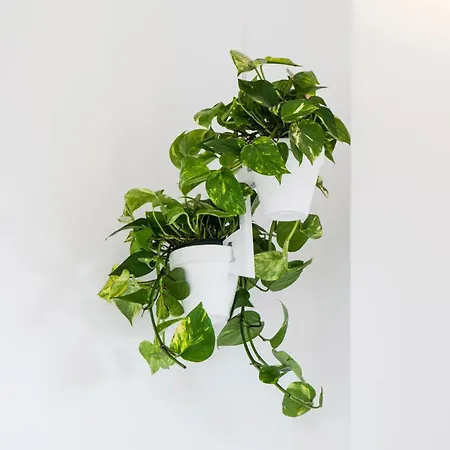 Destinationbcn Marimon Barcelona